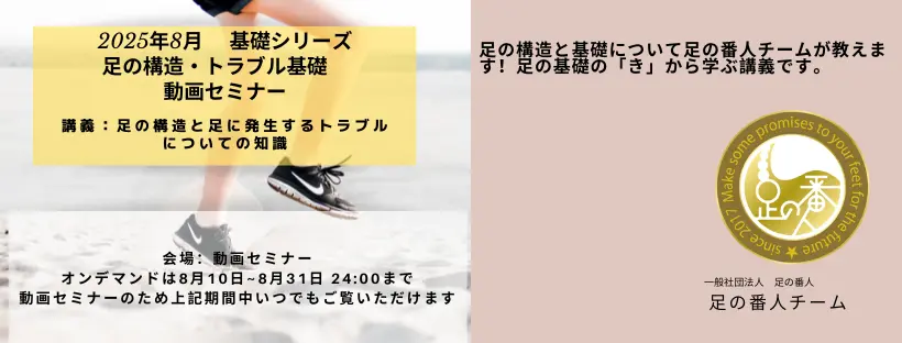 足の構造と足に発生するトラブルについての知識